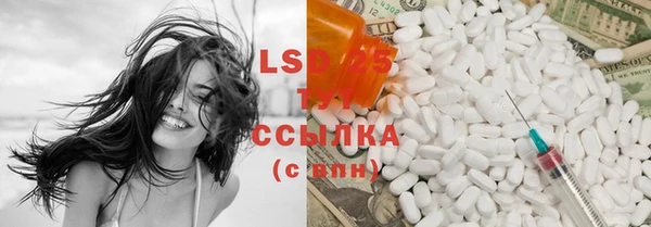 сатива Краснослободск