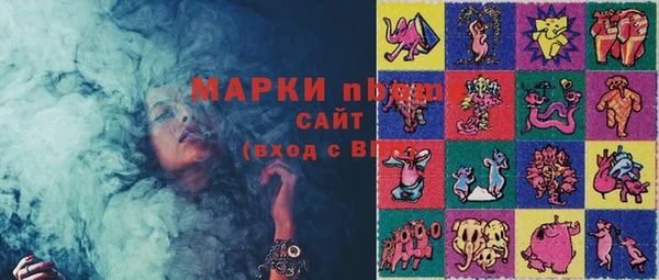 сатива Краснослободск