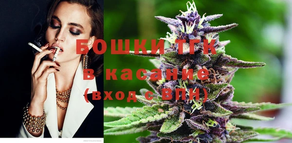 сатива Краснослободск