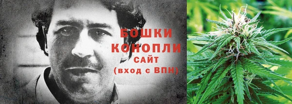 сатива Краснослободск