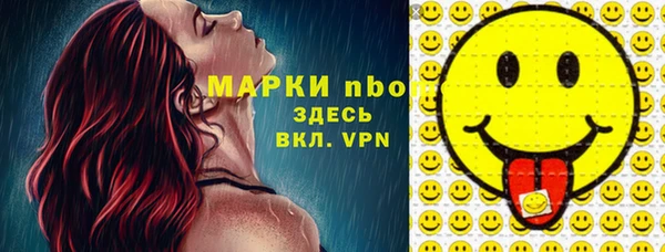 сатива Краснослободск